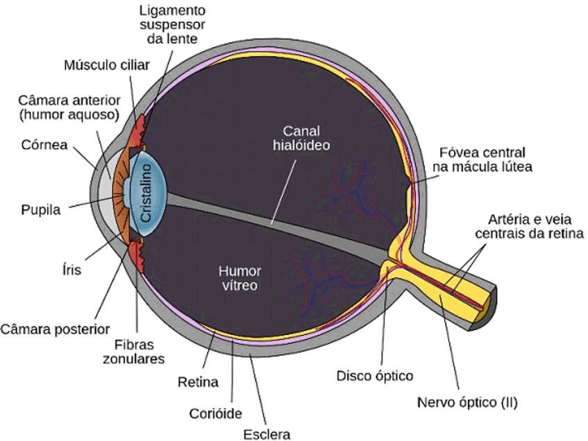 eye diagram