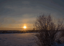 Driving Car At Nighg