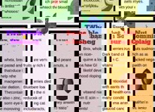 Best Foods For Eye Health