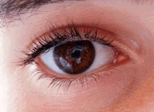 Myokymia Why Are My Eyes Twitiching A Lot