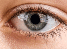 Pupils Not Responding To Light