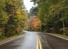 Polarising Lens Reflection