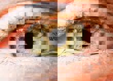 Extreme Close Up Of Womans Grenn Eye Iris Human Ey ZESAPWH Scaled