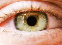 Extreme Close Up Of Womans Grenn Eye Iris Human Ey ZESAPWH Scaled