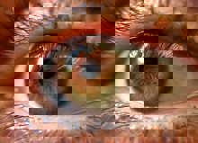 Human Eye VWMDYGD Scaled