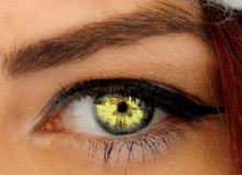 Eye Test Detect Diabetic