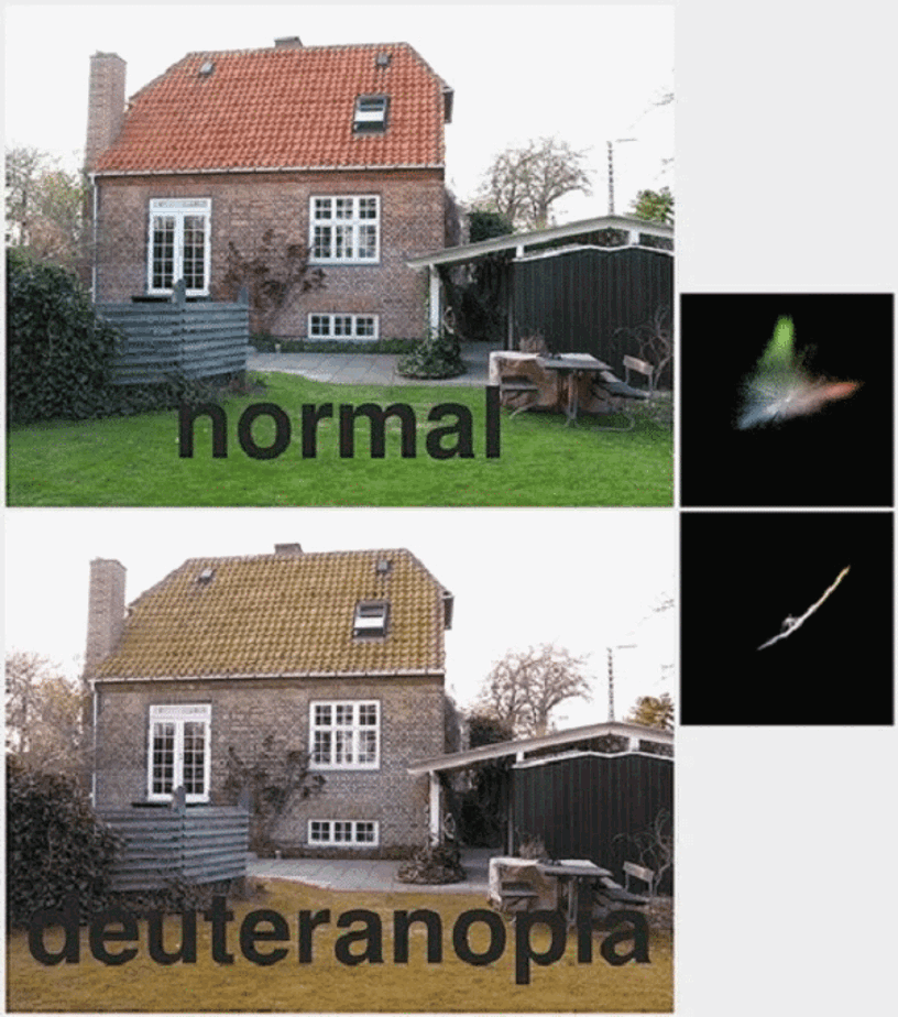 poor colour vision diagram