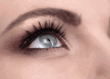 Contact Lenses Vs Glasses