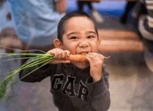 Carrots Improve Vision In The Dark