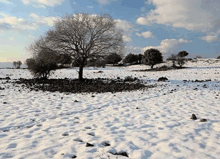 Snow Blindness Photokeratitis – How To Avoid Sunburnt Eyes