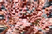 Group Of People Holding Hands