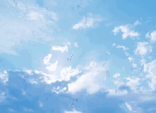 Seeing Squiggles In My Vision (1)