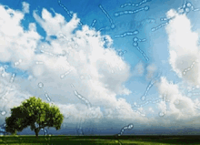 Eye Floaters And Flashes